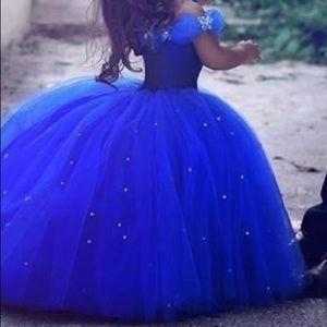 Princess royal blue dress